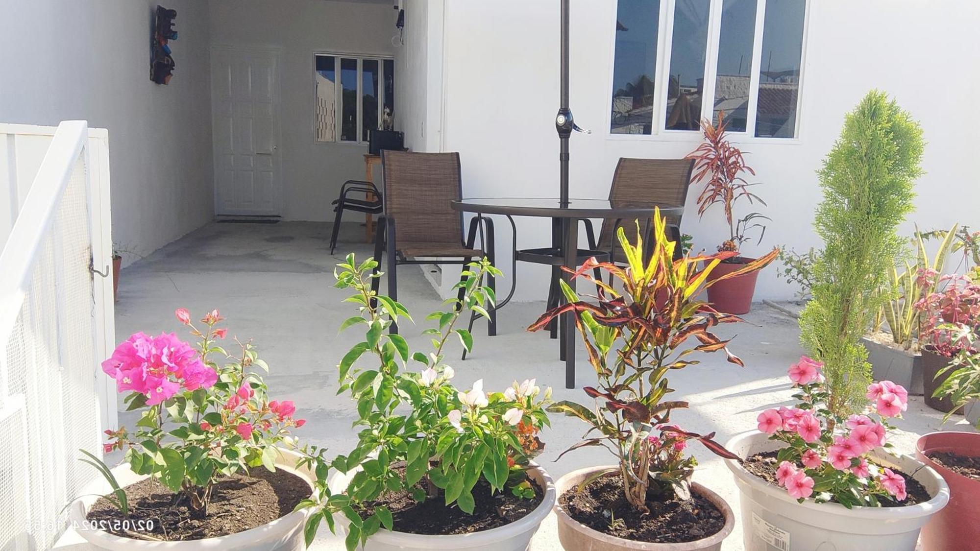 Tierra Maya Hotel Playa del Carmen Buitenkant foto